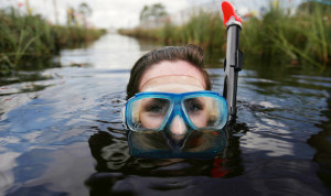 Bog Snorkelling in Peatlands Bog