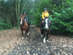 Castle Leslie on horseback - a country retreat to explore on horseback