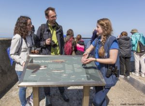 BLOG-13-Things-To-Do-in-Northern-Ireland-Seabird-Centre-rathlin-Island.jpg