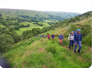 Nine Glens Walking Tours leading visitors through the glens - a Live It Experience It member