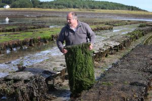 Patrice Bonnargent at his oyster farm in Killough County Down