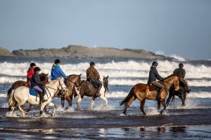 Horses on beach - things to do Northern Ireland