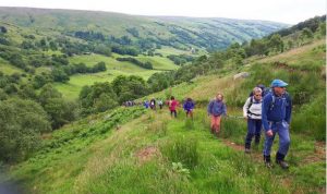 Nine Glens Walking Tours leading visitors through the glens - a Live It Expereince It member