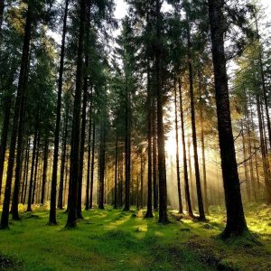 Ireland Travel Blog at Tipi Adventures Ireland